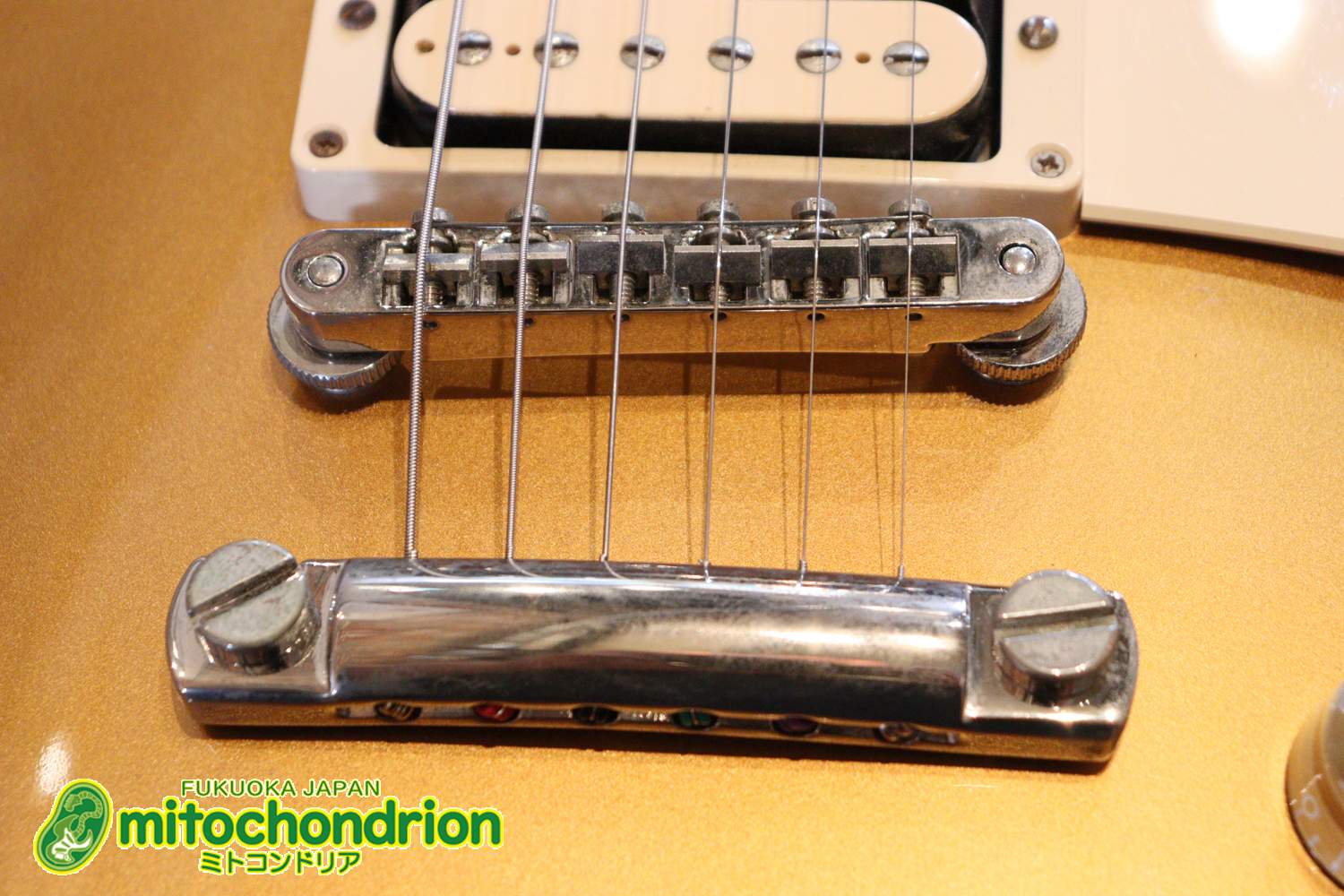 ゼブラビックアップを2基搭載したレスポールクラシックです！