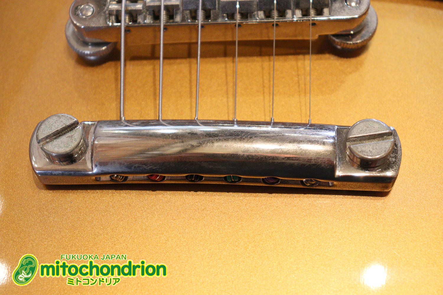 ゼブラビックアップを2基搭載したレスポールクラシックです！