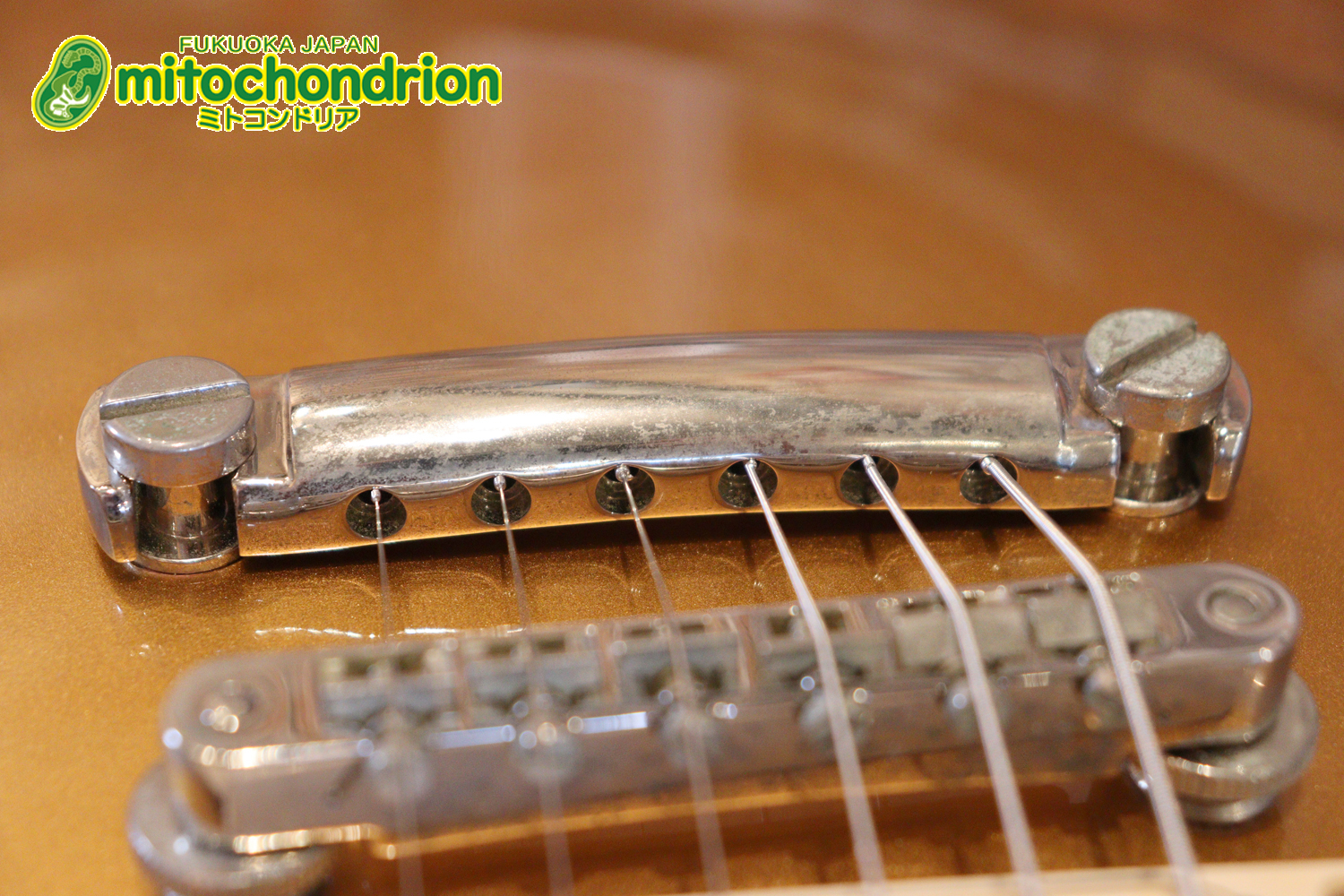 ゼブラビックアップを2基搭載したレスポールクラシックです！