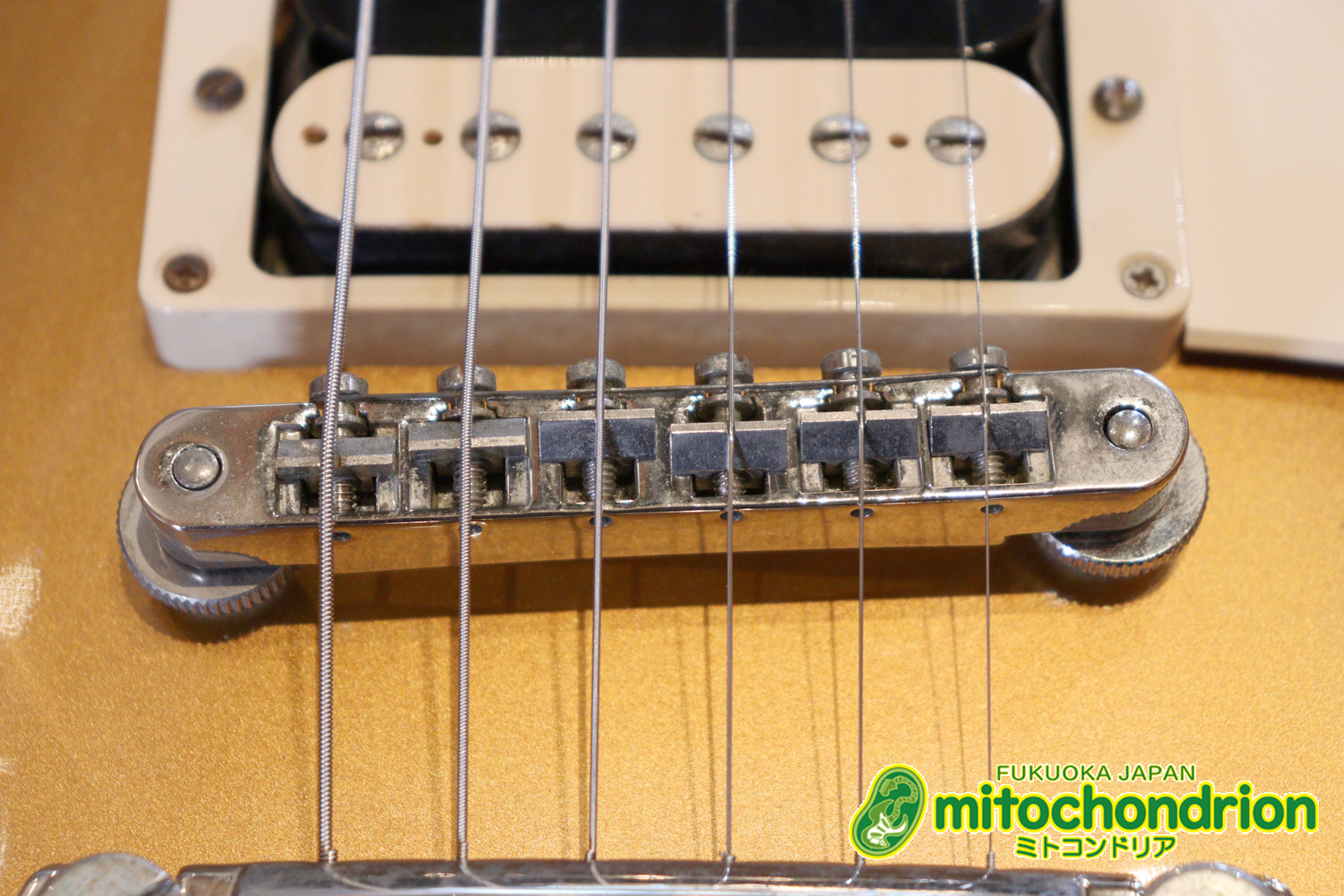 ゼブラビックアップを2基搭載したレスポールクラシックです！