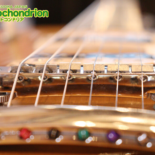 ゼブラビックアップを2基搭載したレスポールクラシックです！