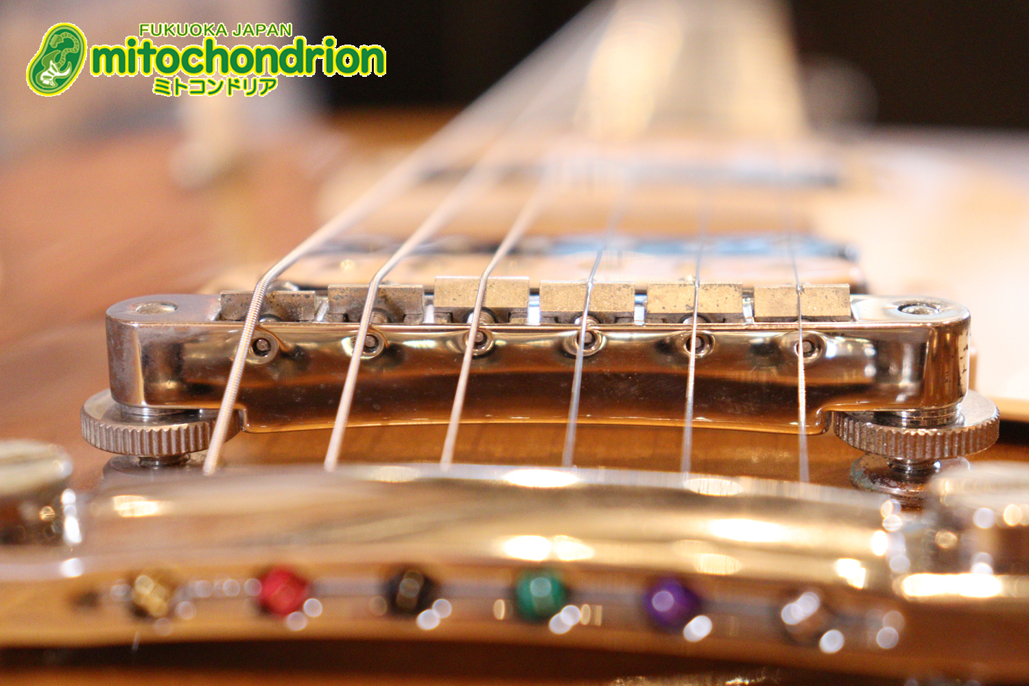 ゼブラビックアップを2基搭載したレスポールクラシックです！