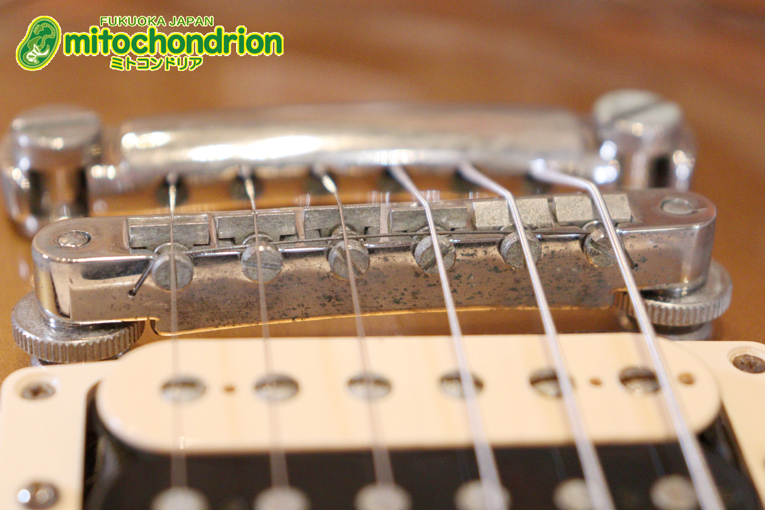 ゼブラビックアップを2基搭載したレスポールクラシックです！