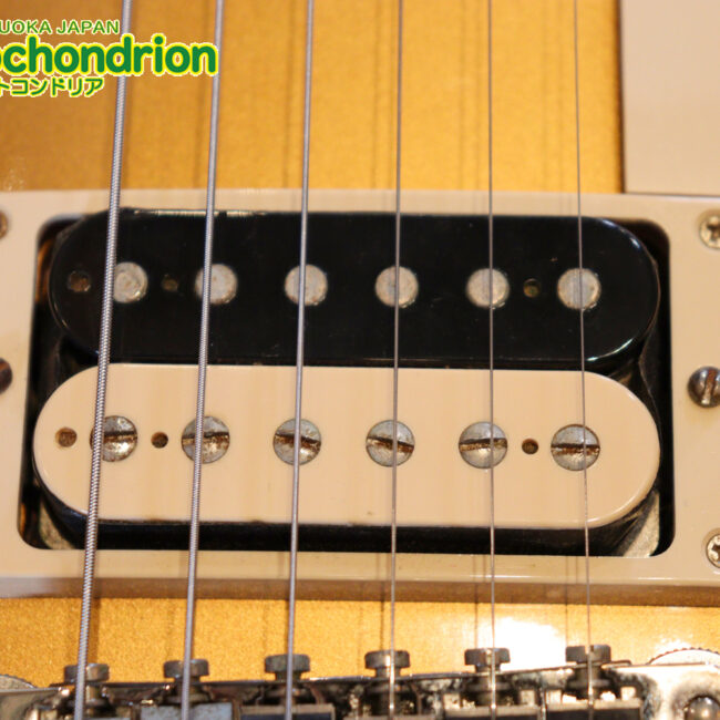 ゼブラビックアップを2基搭載したレスポールクラシックです！