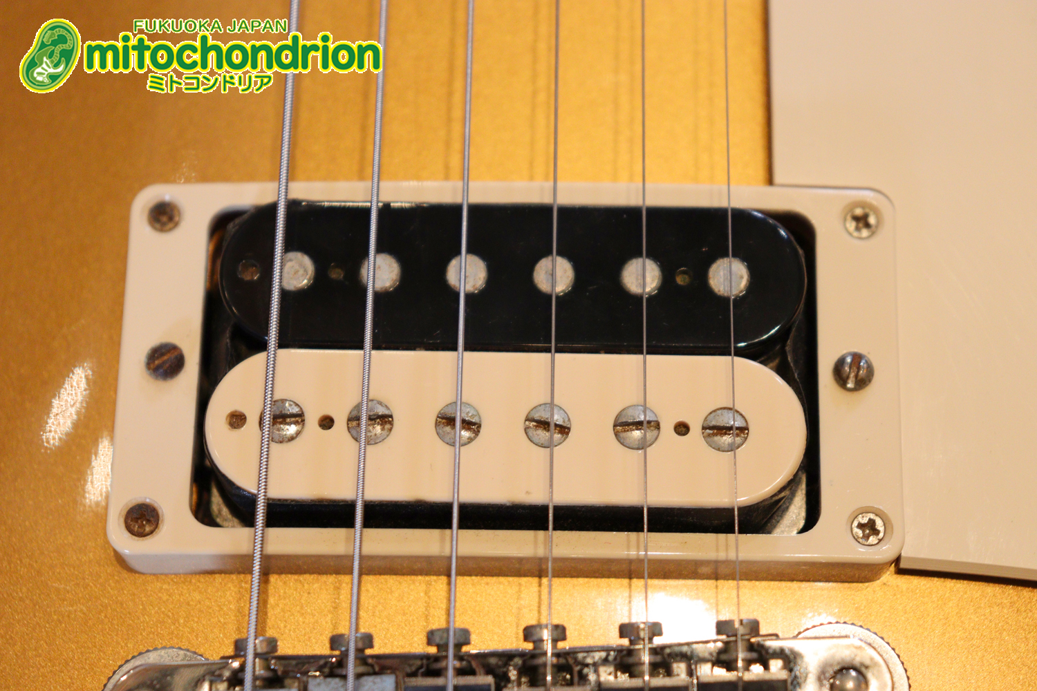 ゼブラビックアップを2基搭載したレスポールクラシックです！