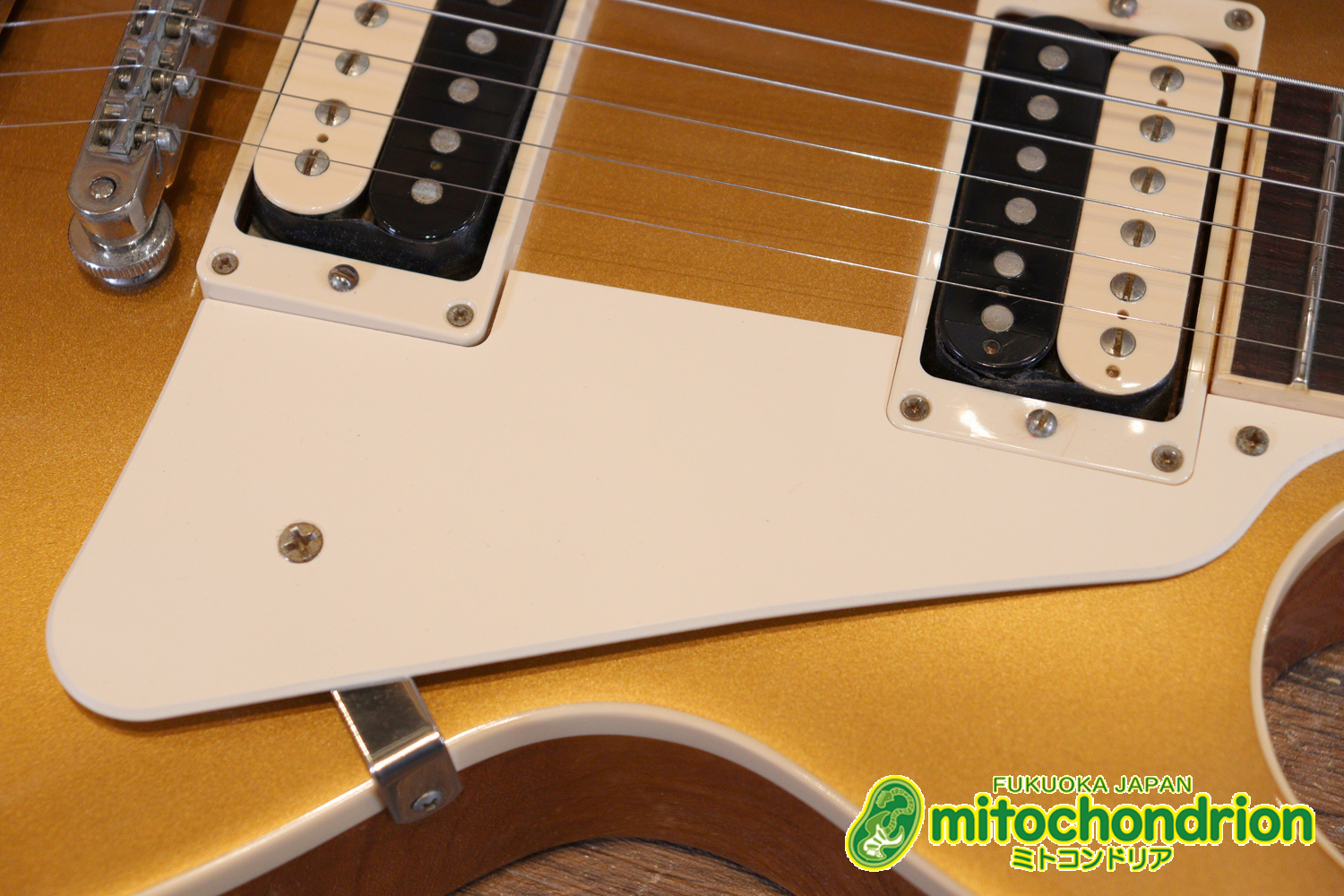 ゼブラビックアップを2基搭載したレスポールクラシックです！