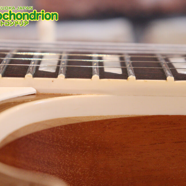 ゼブラビックアップを2基搭載したレスポールクラシックです！