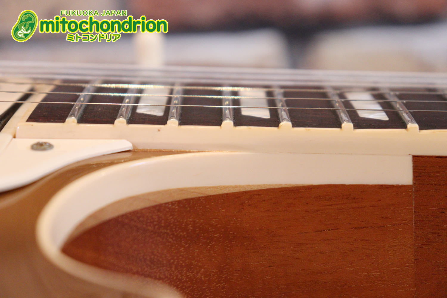 ゼブラビックアップを2基搭載したレスポールクラシックです！