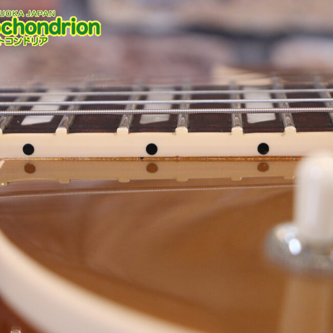 ゼブラビックアップを2基搭載したレスポールクラシックです！