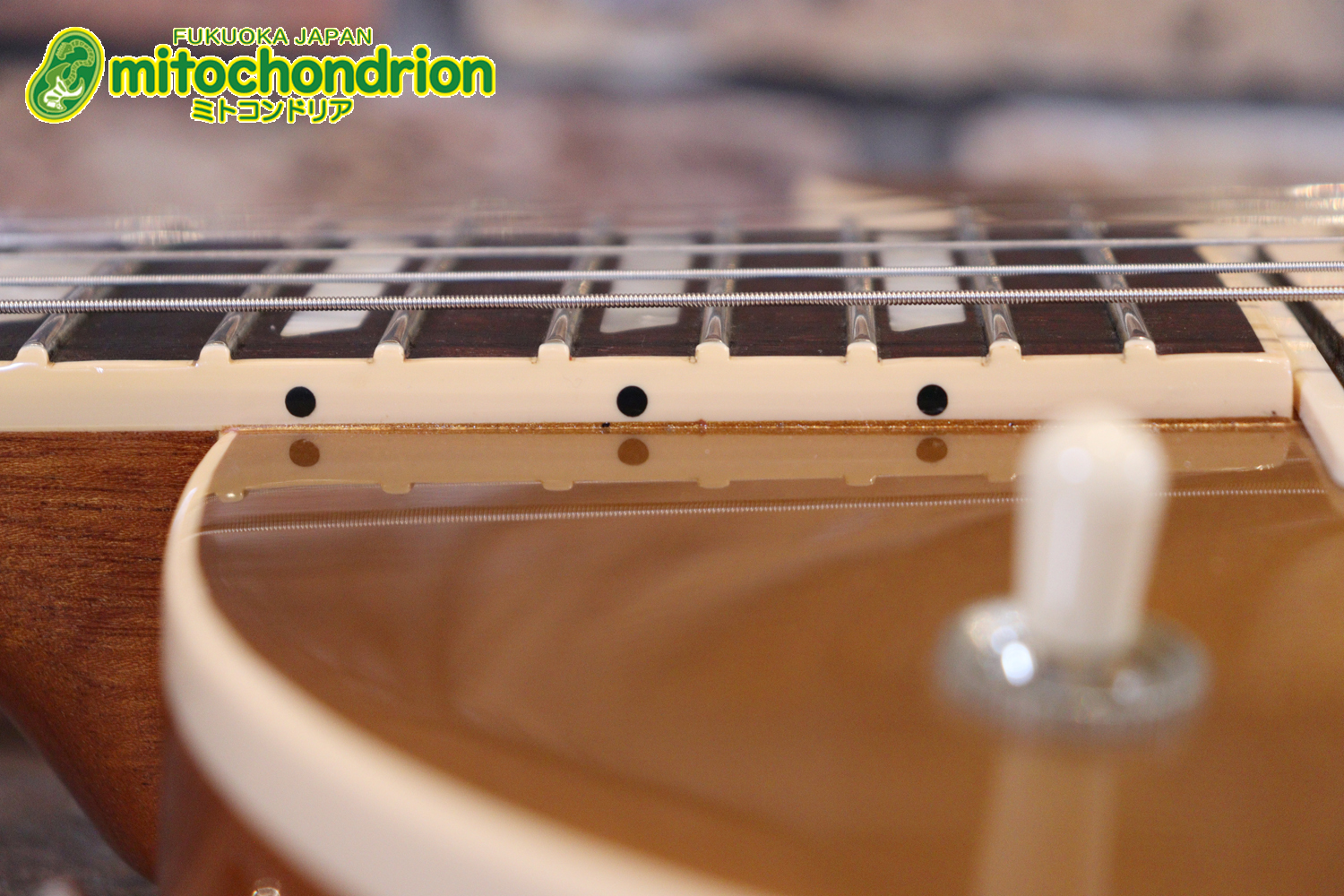 ゼブラビックアップを2基搭載したレスポールクラシックです！