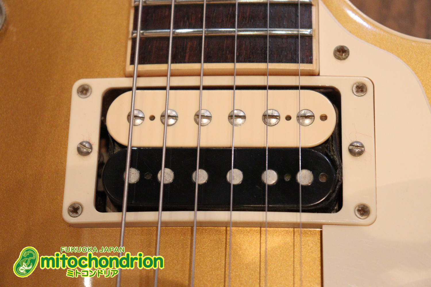 ゼブラビックアップを2基搭載したレスポールクラシックです！