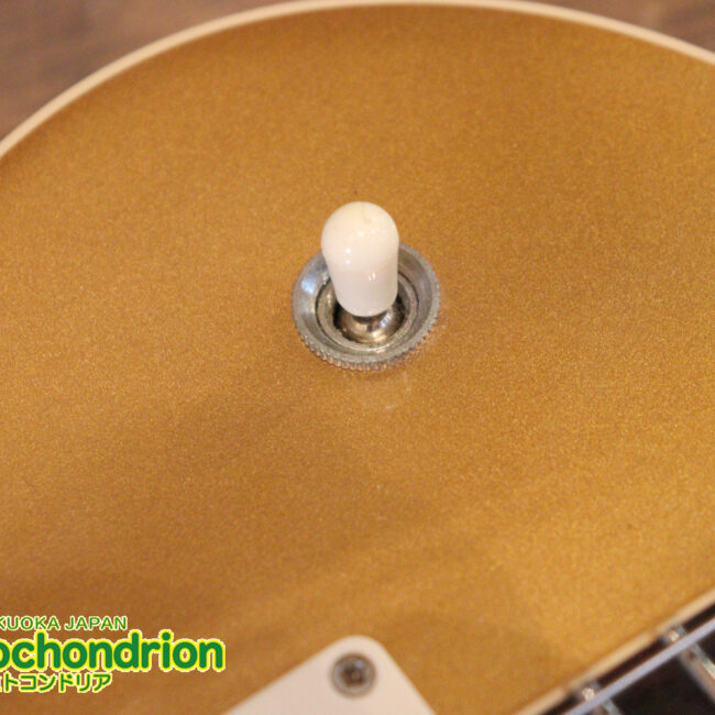 ゼブラビックアップを2基搭載したレスポールクラシックです！