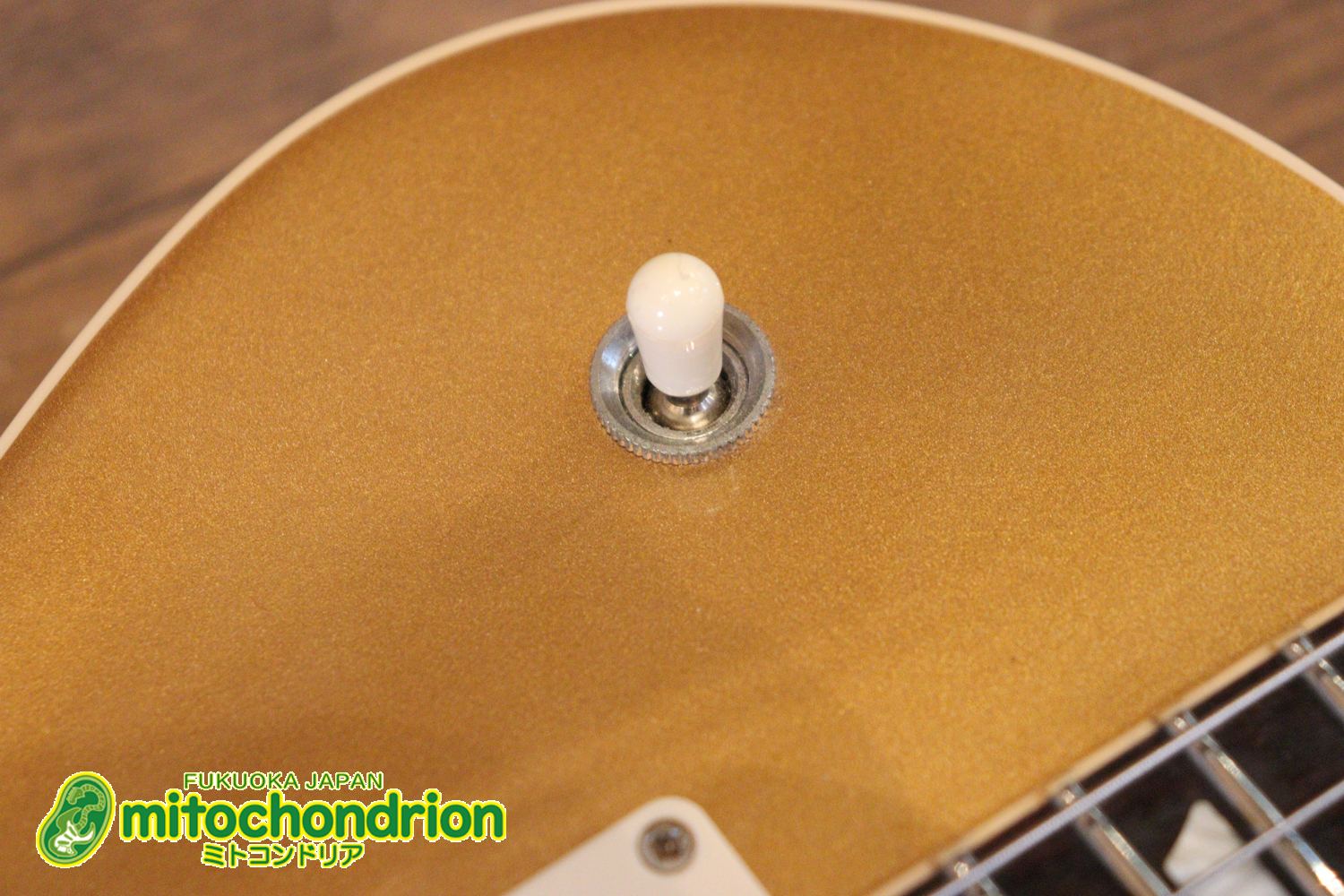 ゼブラビックアップを2基搭載したレスポールクラシックです！