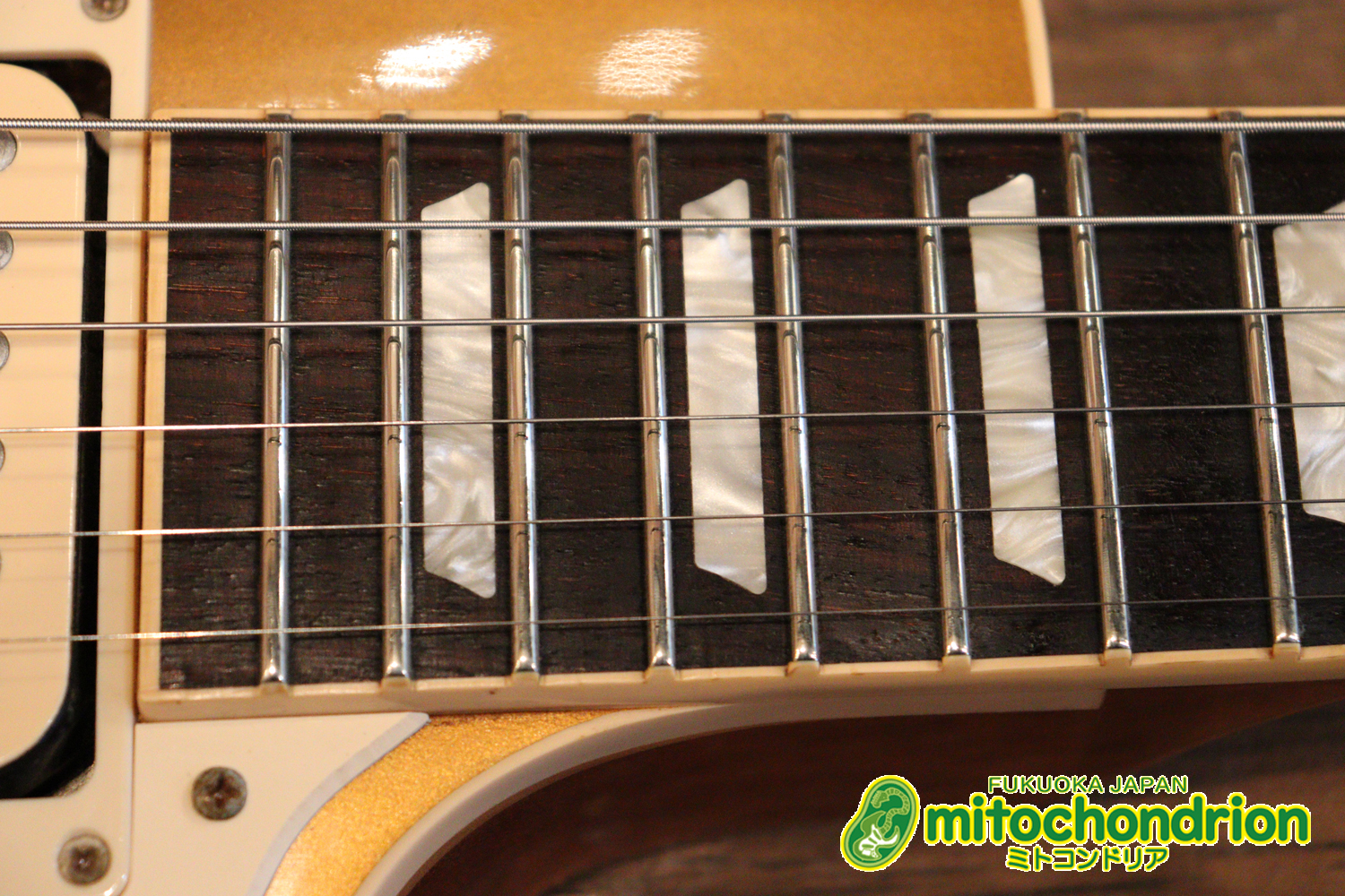 ゼブラビックアップを2基搭載したレスポールクラシックです！