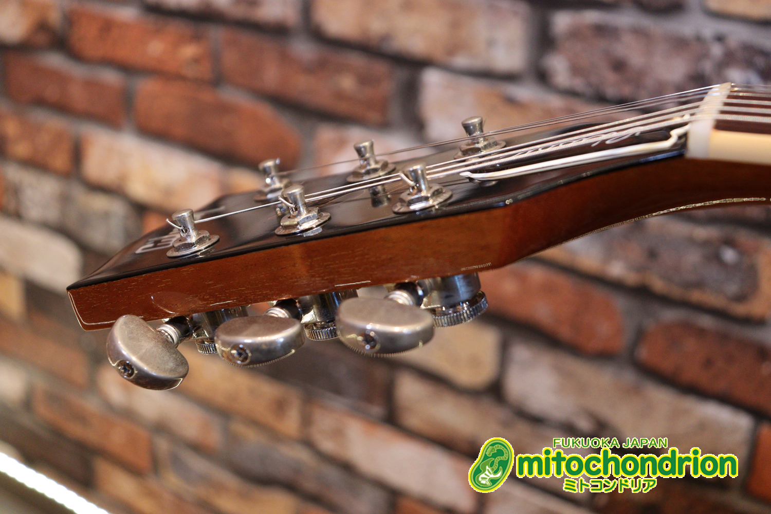 ゼブラビックアップを2基搭載したレスポールクラシックです！