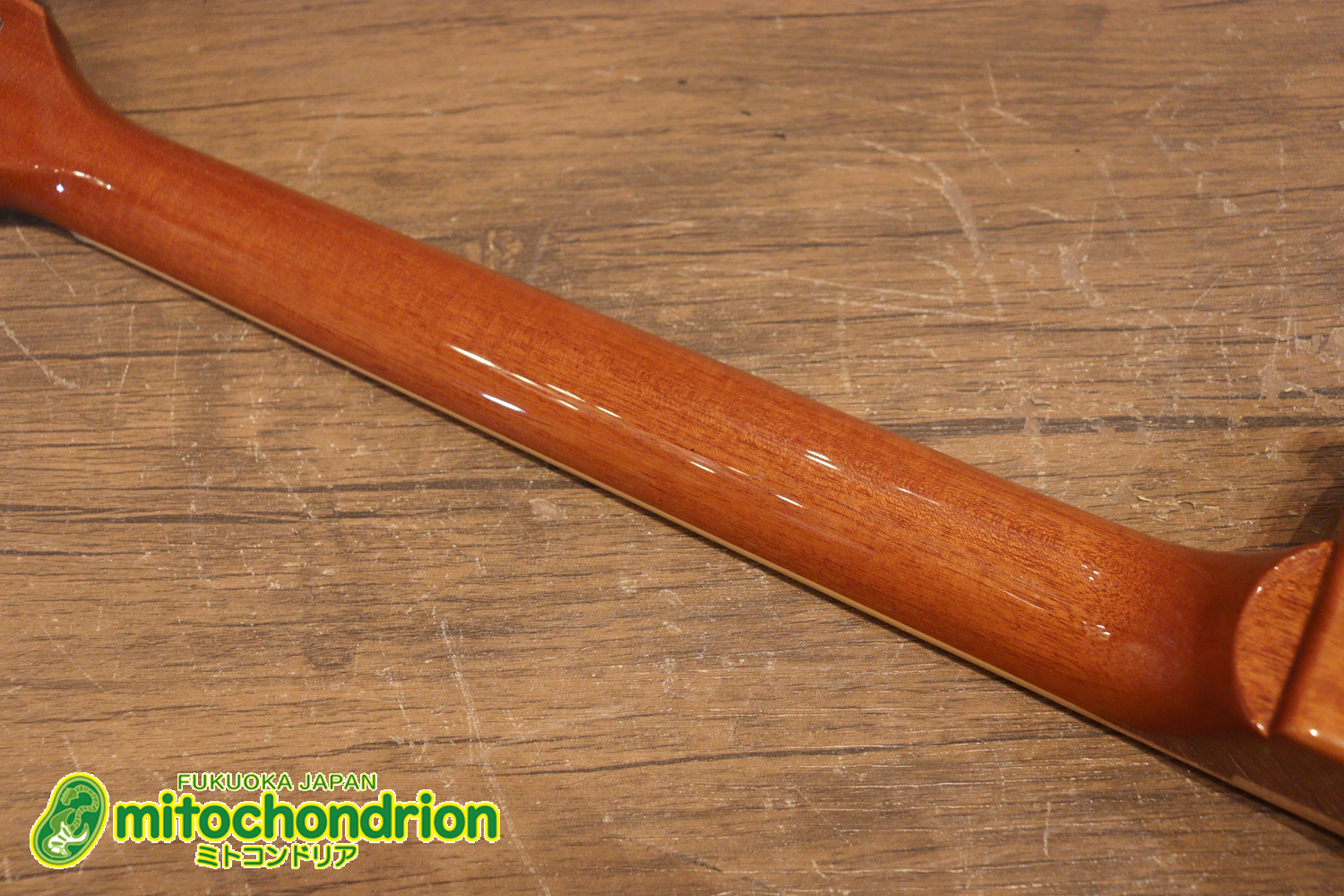 ゼブラビックアップを2基搭載したレスポールクラシックです！