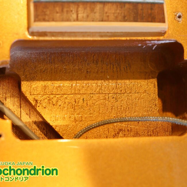 ゼブラビックアップを2基搭載したレスポールクラシックです！