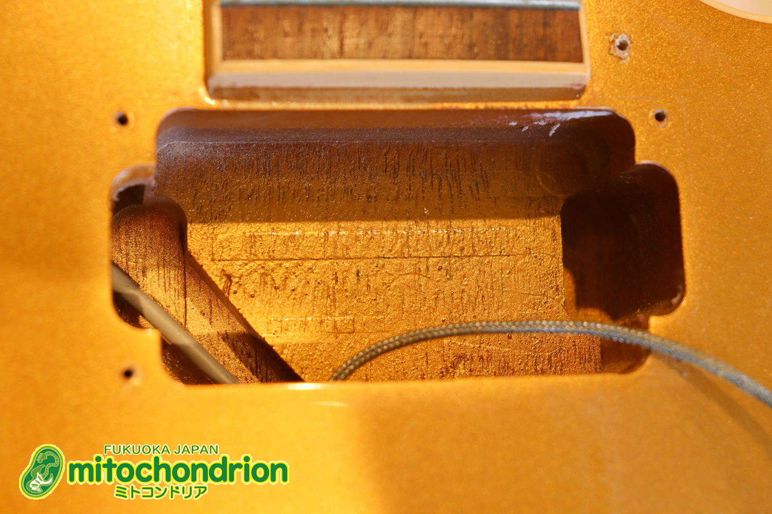 ゼブラビックアップを2基搭載したレスポールクラシックです！