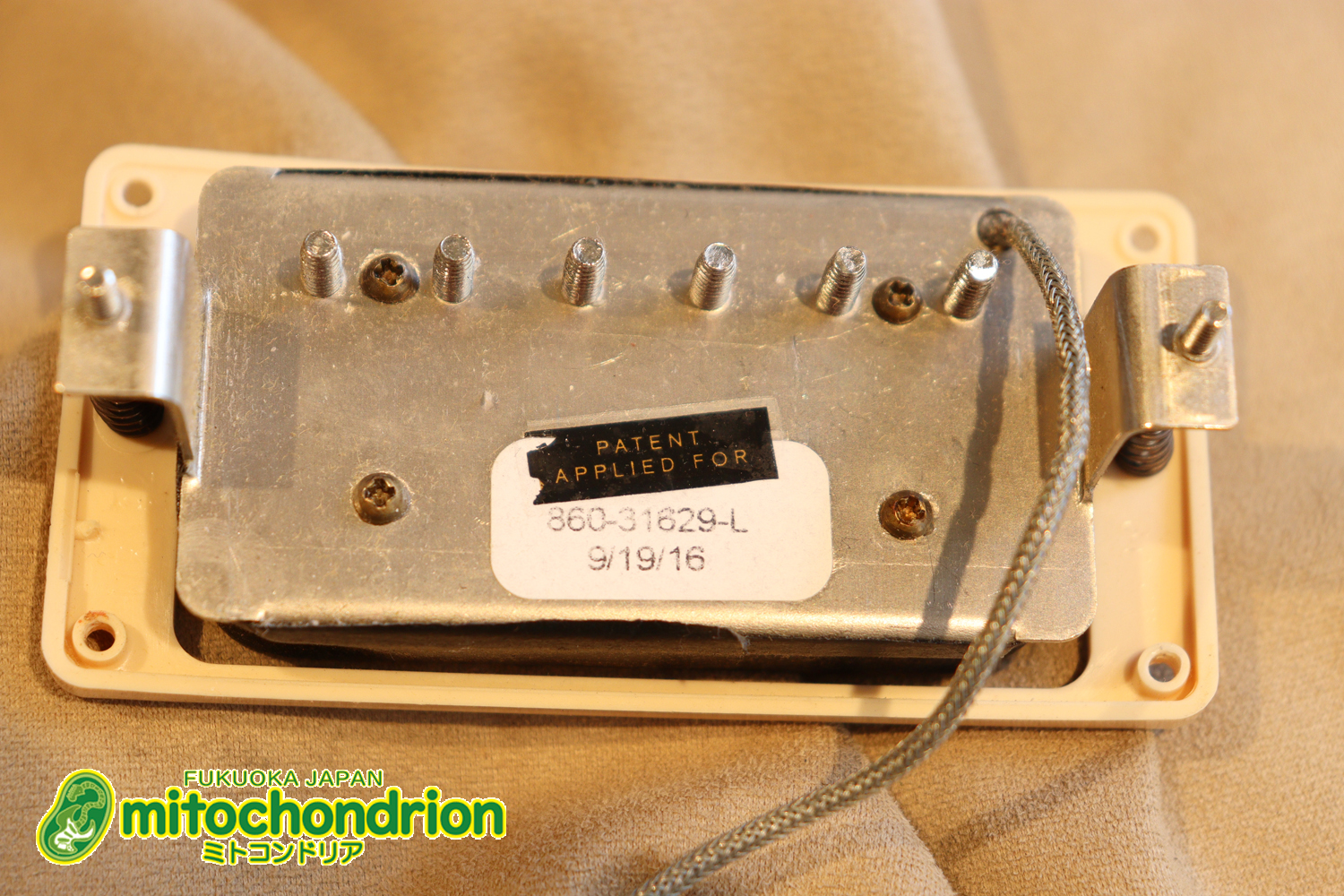 ゼブラビックアップを2基搭載したレスポールクラシックです！