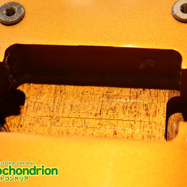 ゼブラビックアップを2基搭載したレスポールクラシックです！