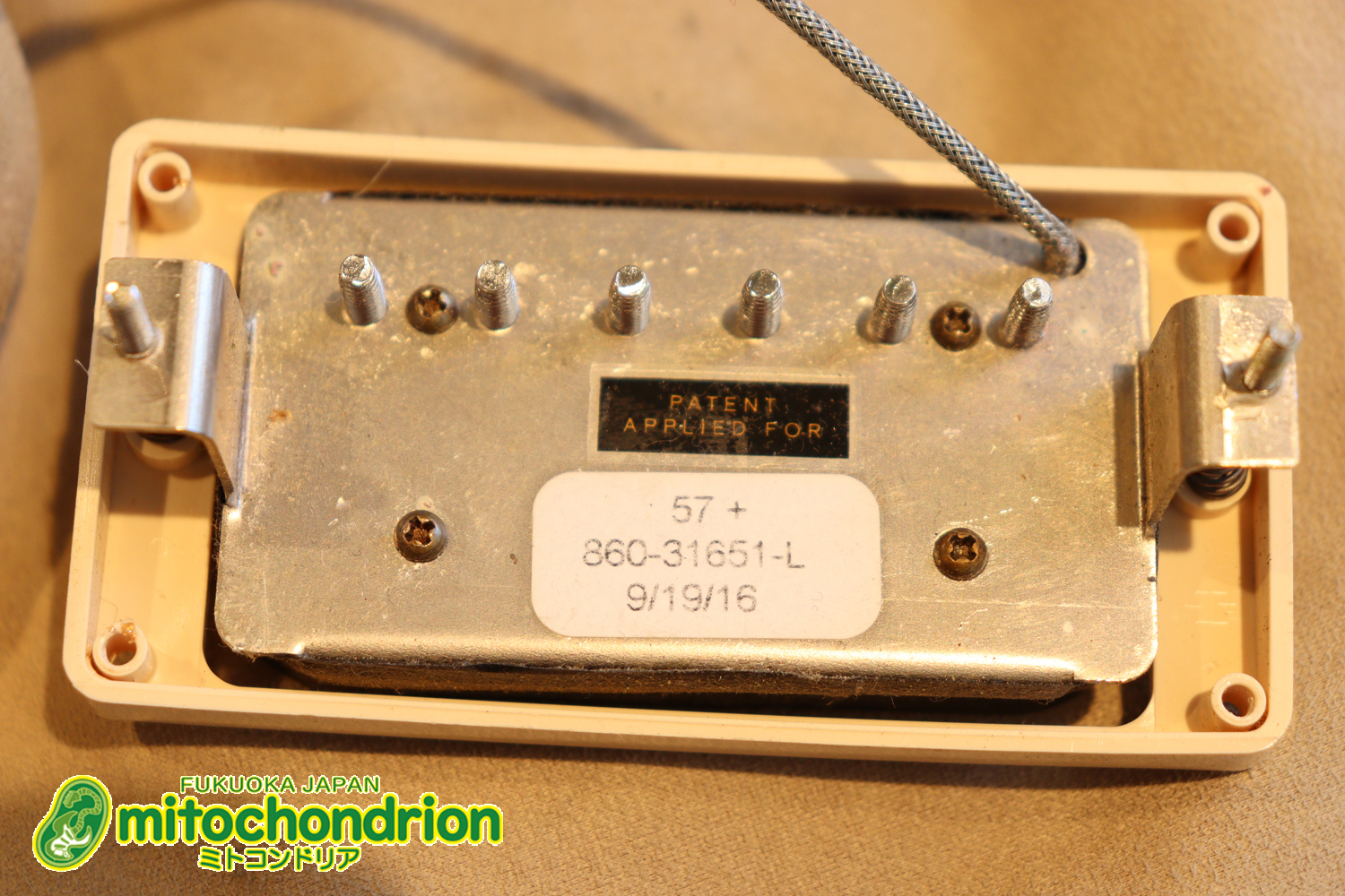 ゼブラビックアップを2基搭載したレスポールクラシックです！