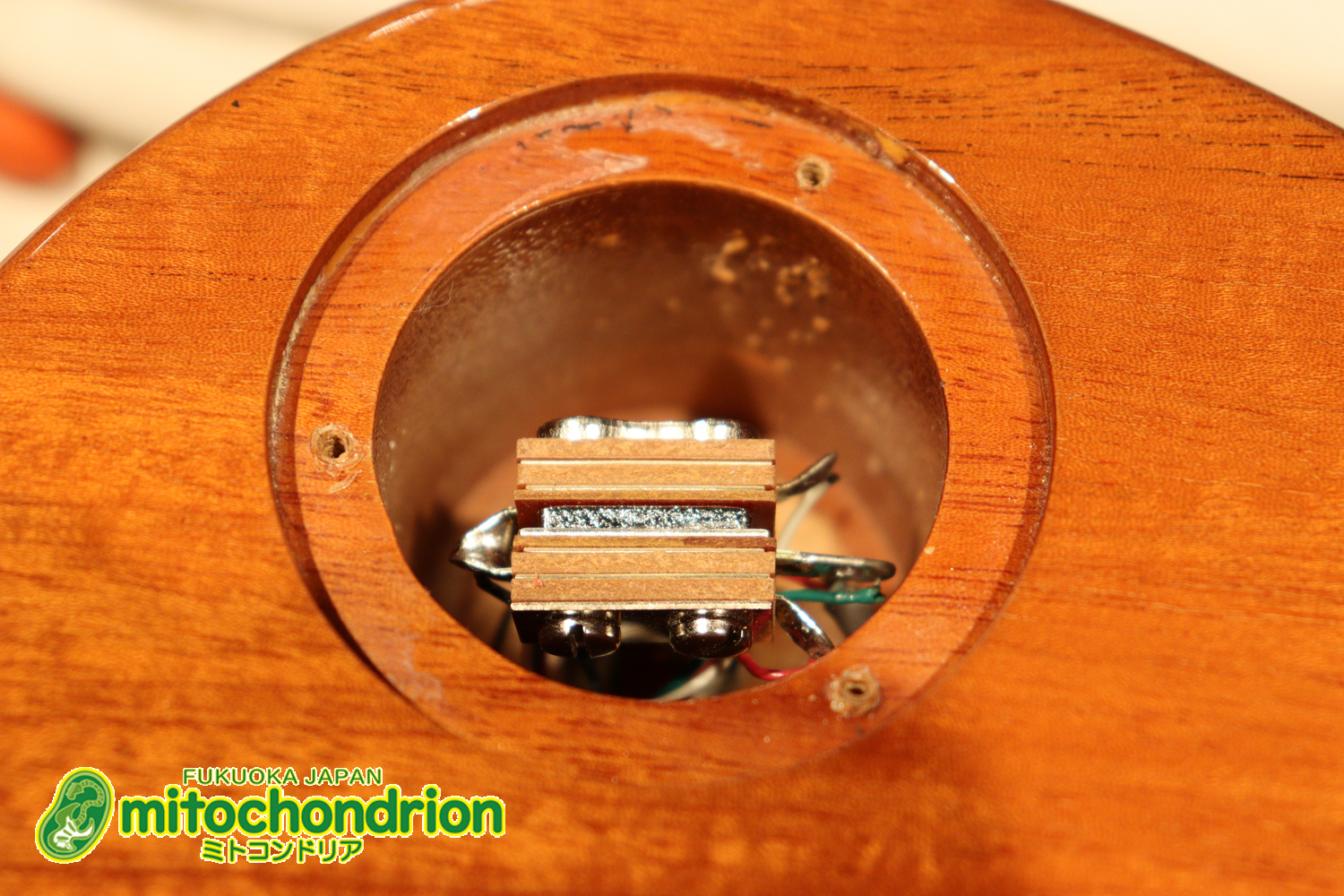 ゼブラビックアップを2基搭載したレスポールクラシックです！