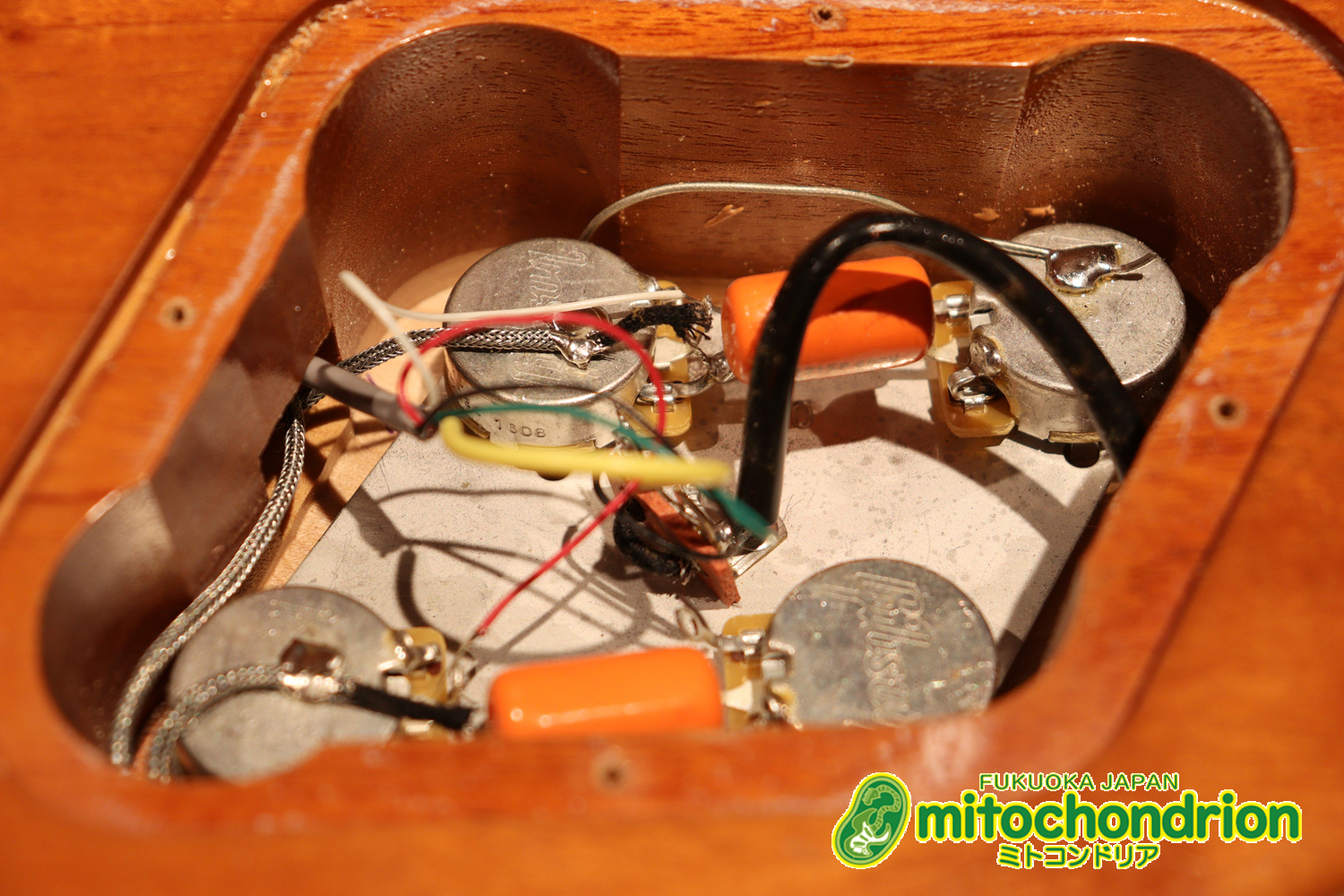 ゼブラビックアップを2基搭載したレスポールクラシックです！