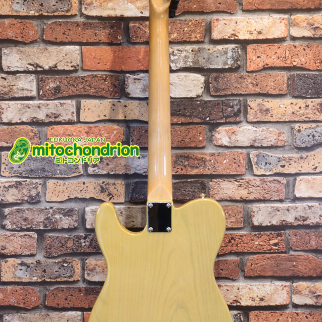 王道のテレキャスターをエドワーズが敬意を払って作った1本！