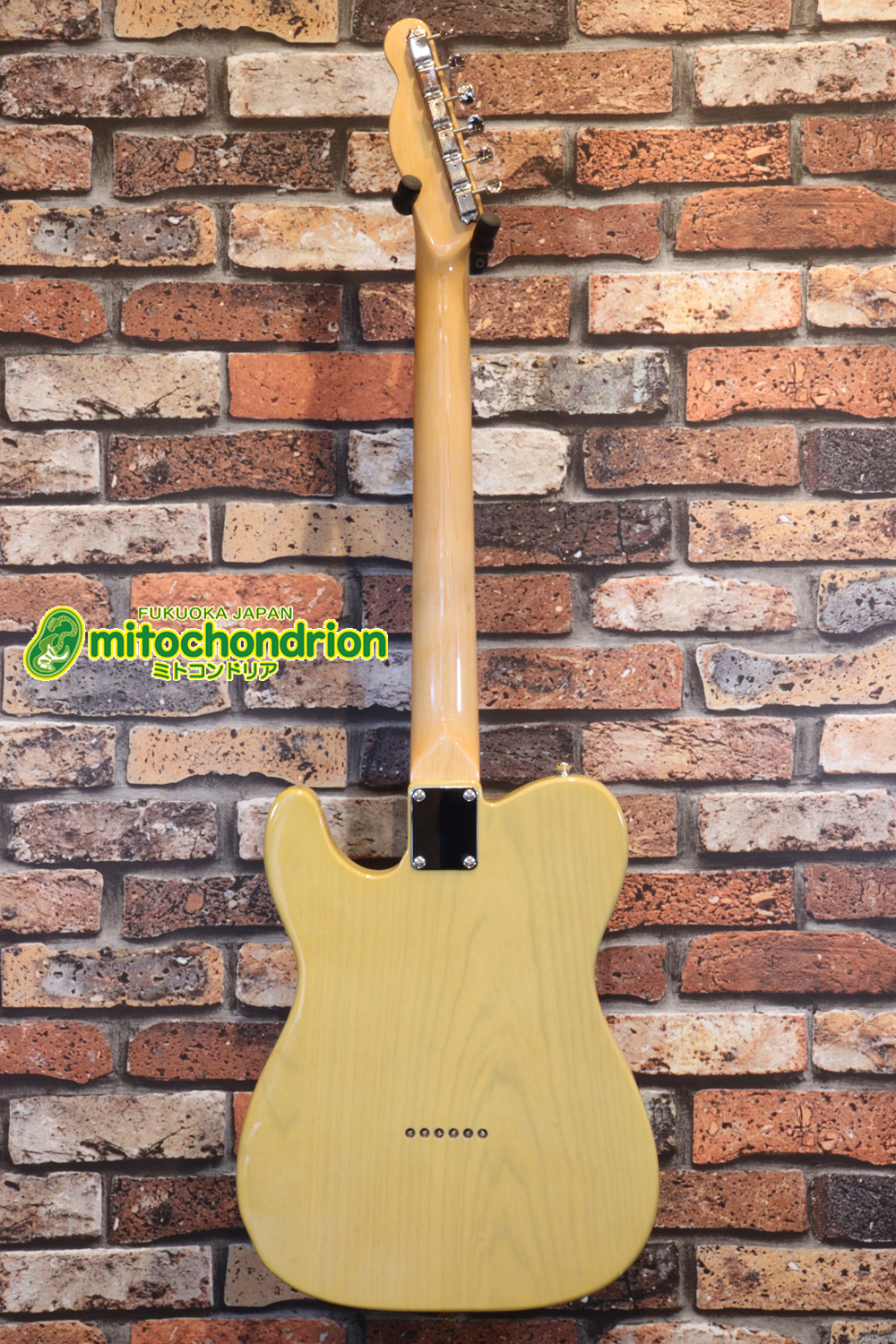 王道のテレキャスターをエドワーズが敬意を払って作った1本！