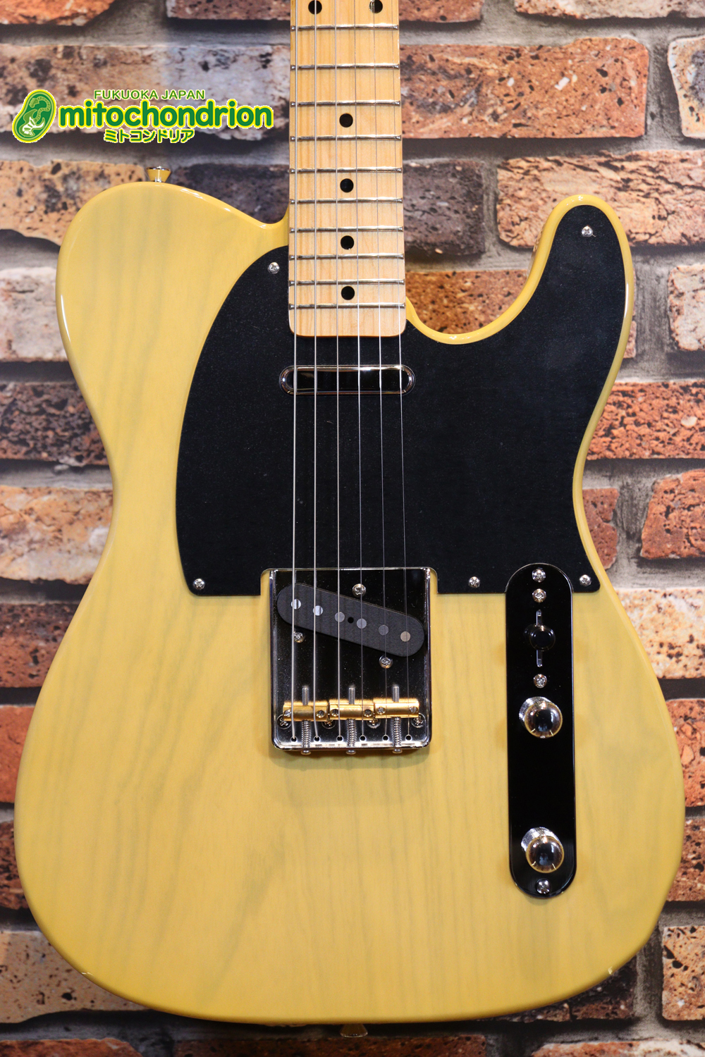 王道のテレキャスターをエドワーズが敬意を払って作った1本！