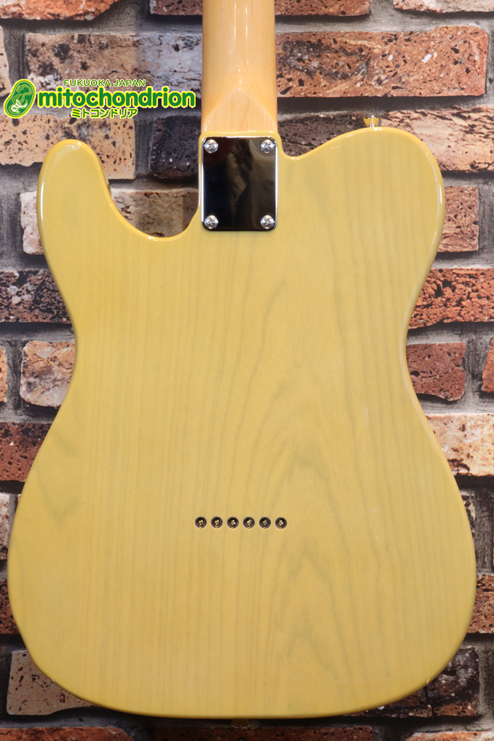 王道のテレキャスターをエドワーズが敬意を払って作った1本！