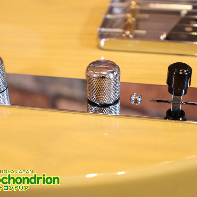 王道のテレキャスターをエドワーズが敬意を払って作った1本！