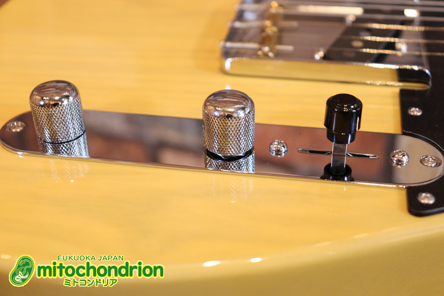 王道のテレキャスターをエドワーズが敬意を払って作った1本！