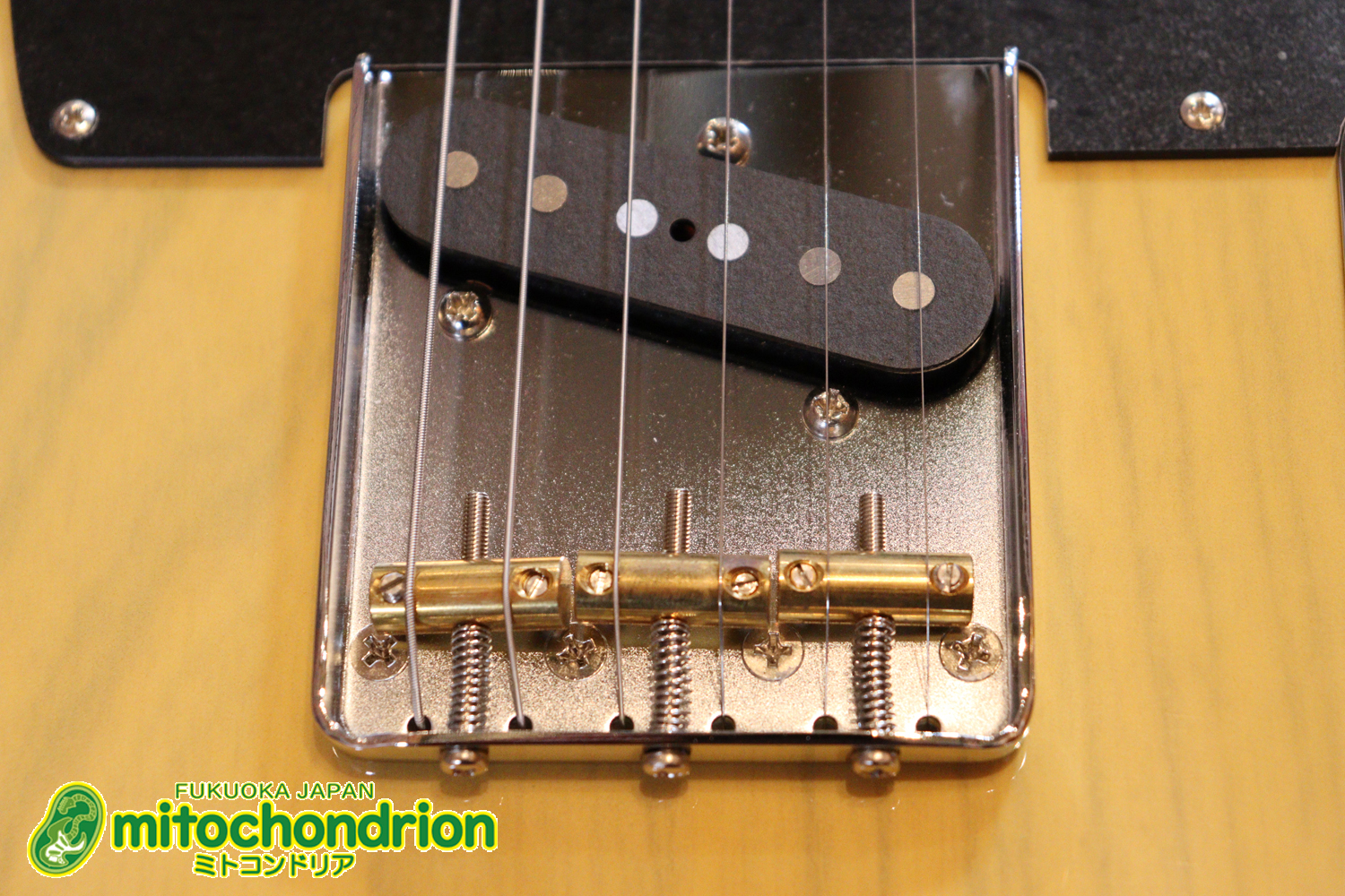 王道のテレキャスターをエドワーズが敬意を払って作った1本！