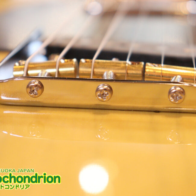 王道のテレキャスターをエドワーズが敬意を払って作った1本！