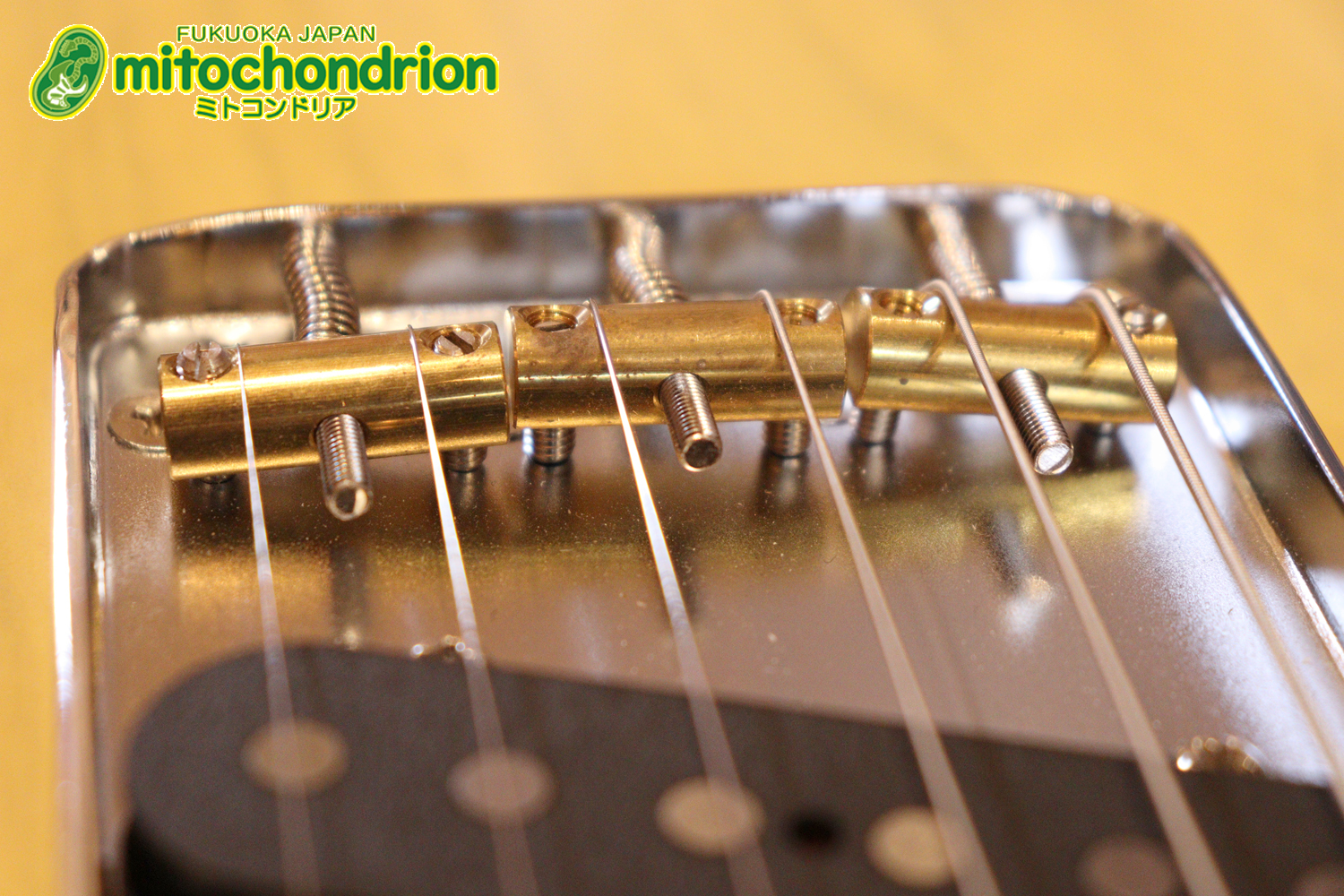 王道のテレキャスターをエドワーズが敬意を払って作った1本！