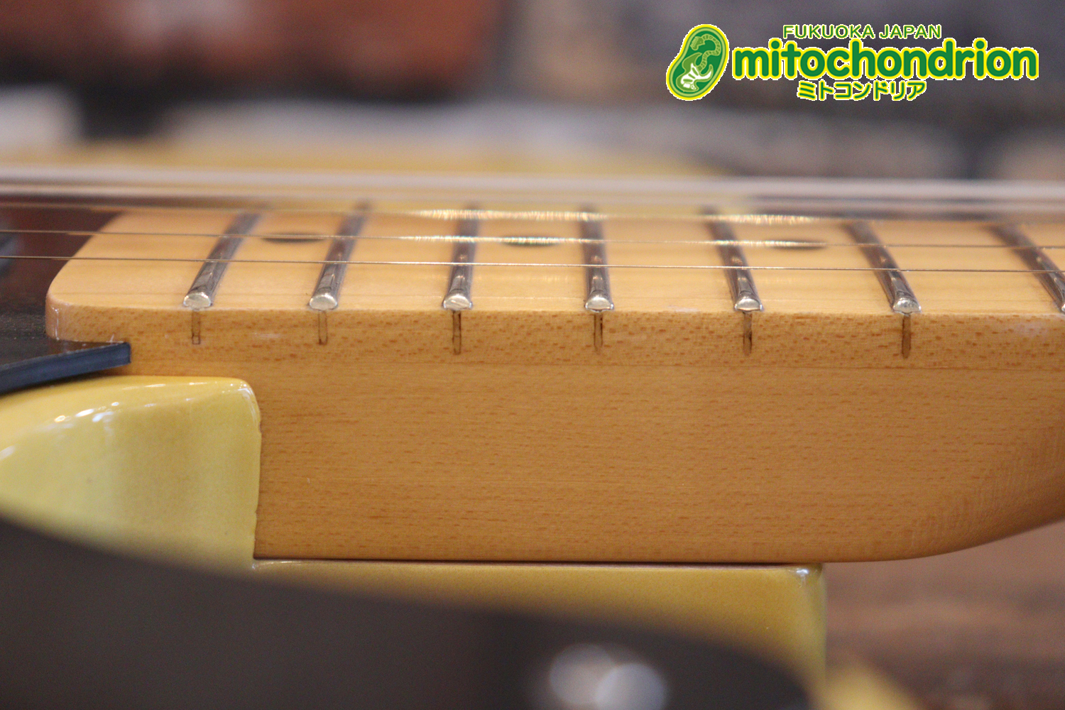 王道のテレキャスターをエドワーズが敬意を払って作った1本！