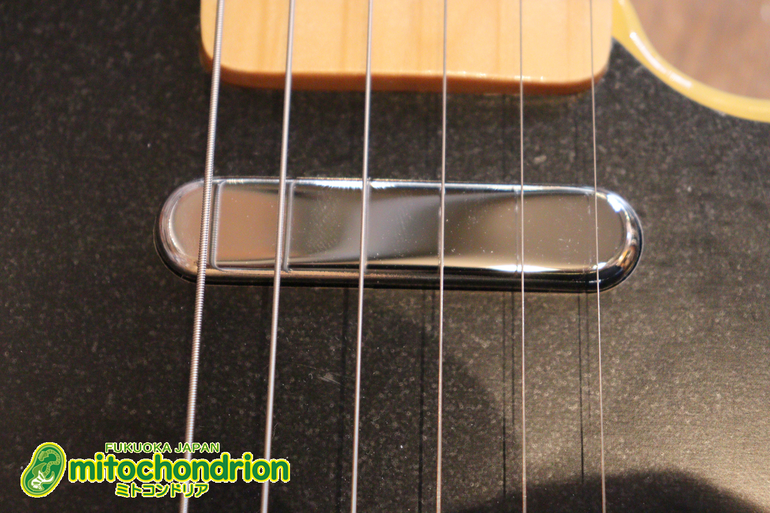 王道のテレキャスターをエドワーズが敬意を払って作った1本！