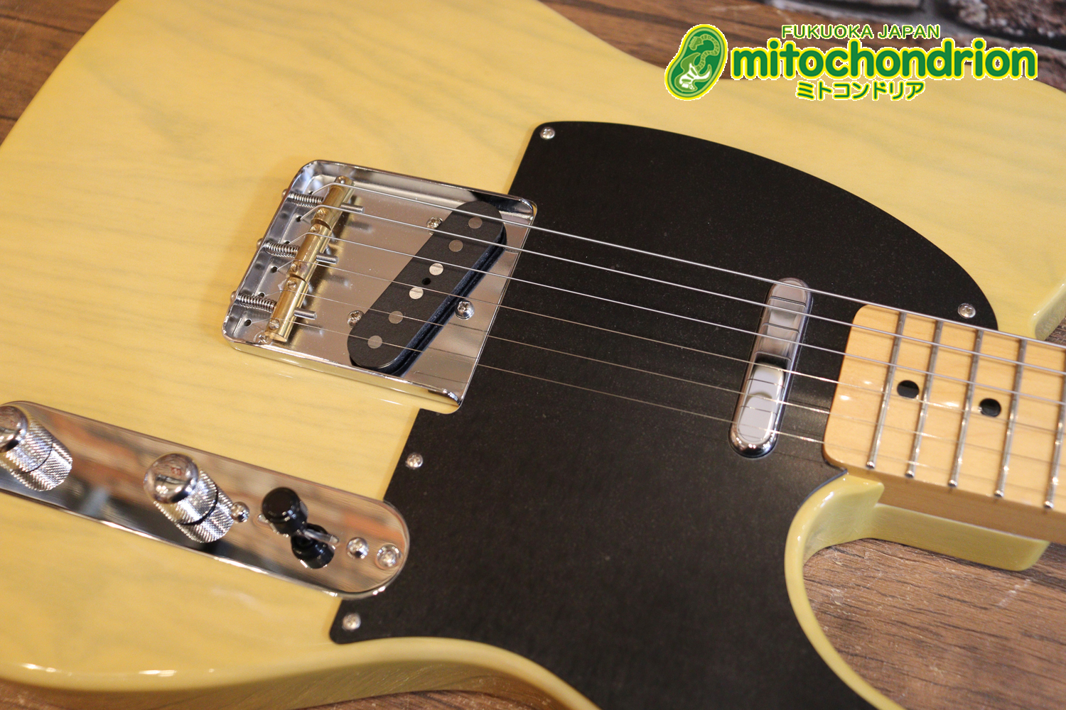 王道のテレキャスターをエドワーズが敬意を払って作った1本！