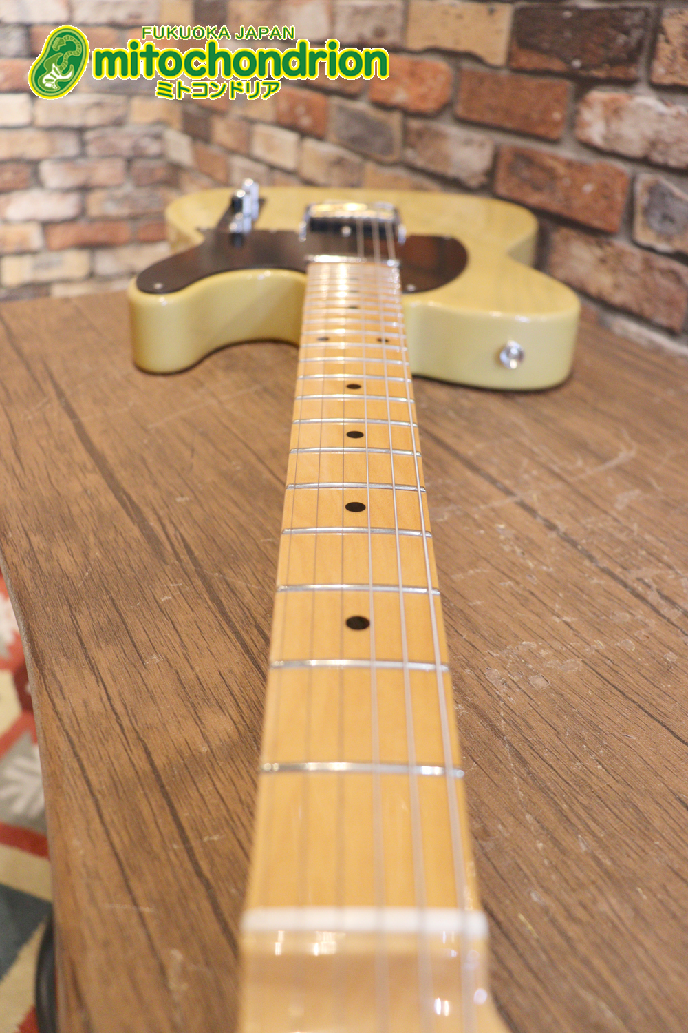 王道のテレキャスターをエドワーズが敬意を払って作った1本！