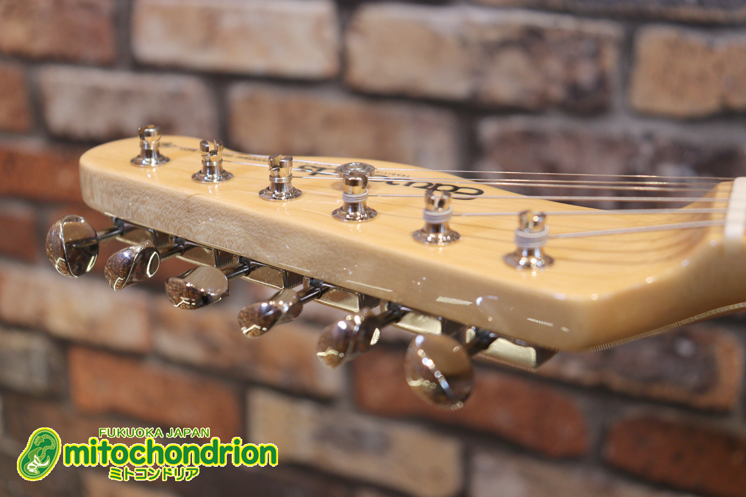 王道のテレキャスターをエドワーズが敬意を払って作った1本！