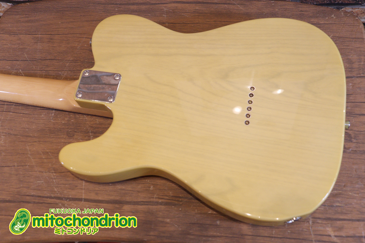 王道のテレキャスターをエドワーズが敬意を払って作った1本！