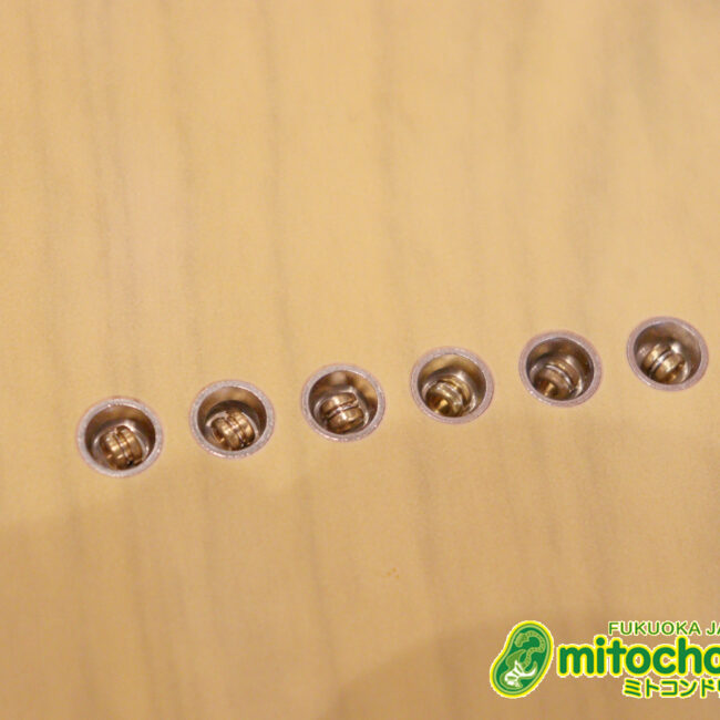 王道のテレキャスターをエドワーズが敬意を払って作った1本！