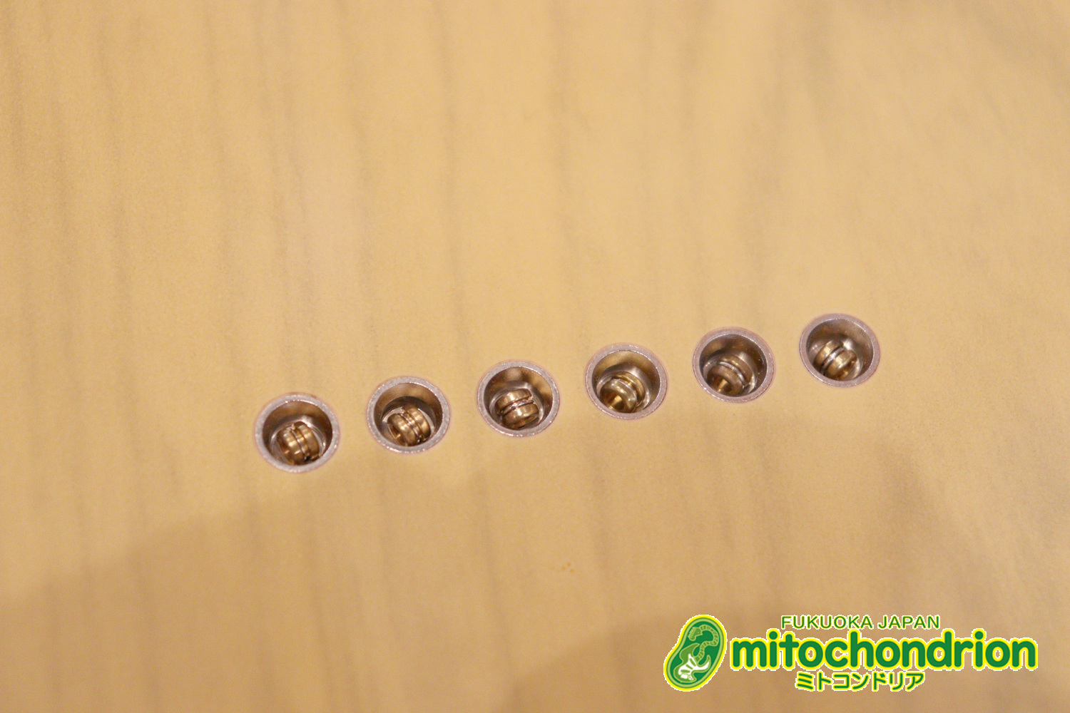 王道のテレキャスターをエドワーズが敬意を払って作った1本！