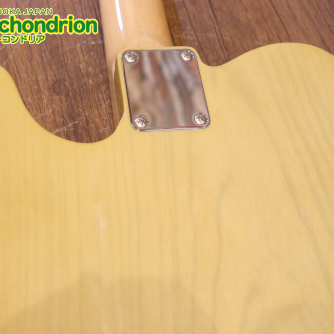 王道のテレキャスターをエドワーズが敬意を払って作った1本！