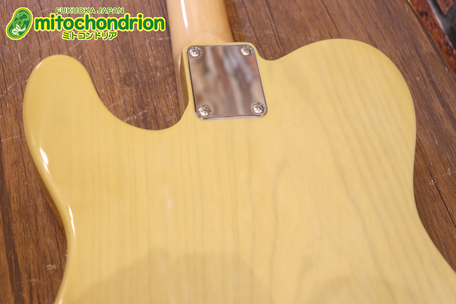 王道のテレキャスターをエドワーズが敬意を払って作った1本！