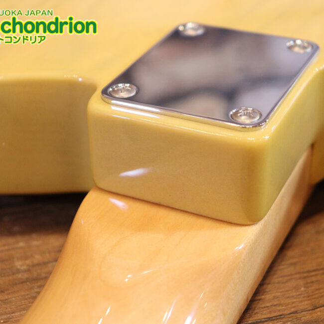 王道のテレキャスターをエドワーズが敬意を払って作った1本！