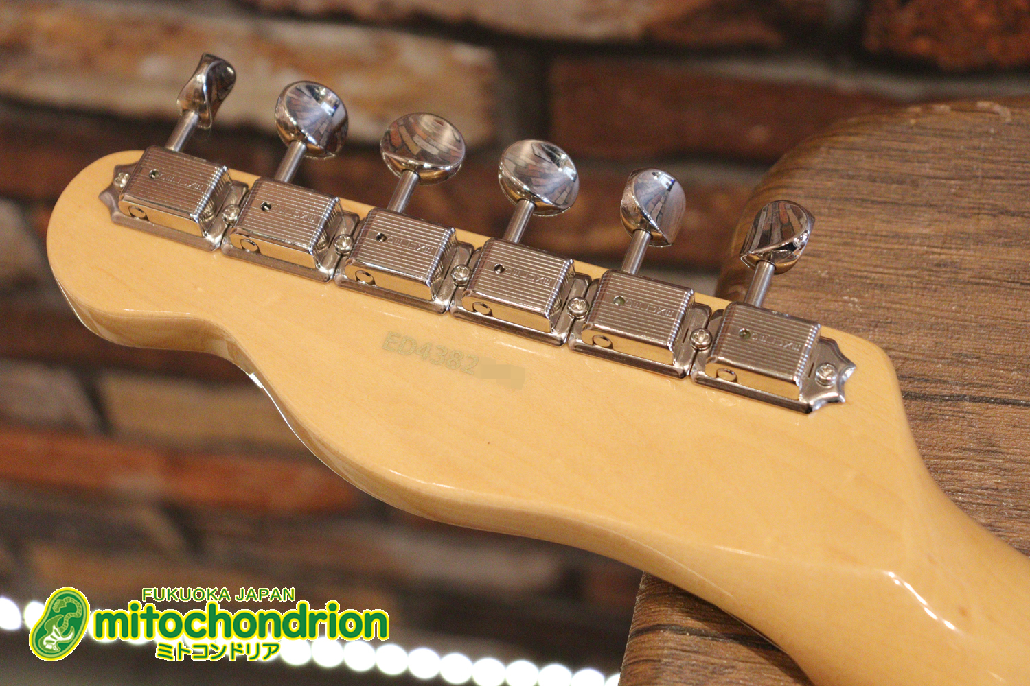 王道のテレキャスターをエドワーズが敬意を払って作った1本！