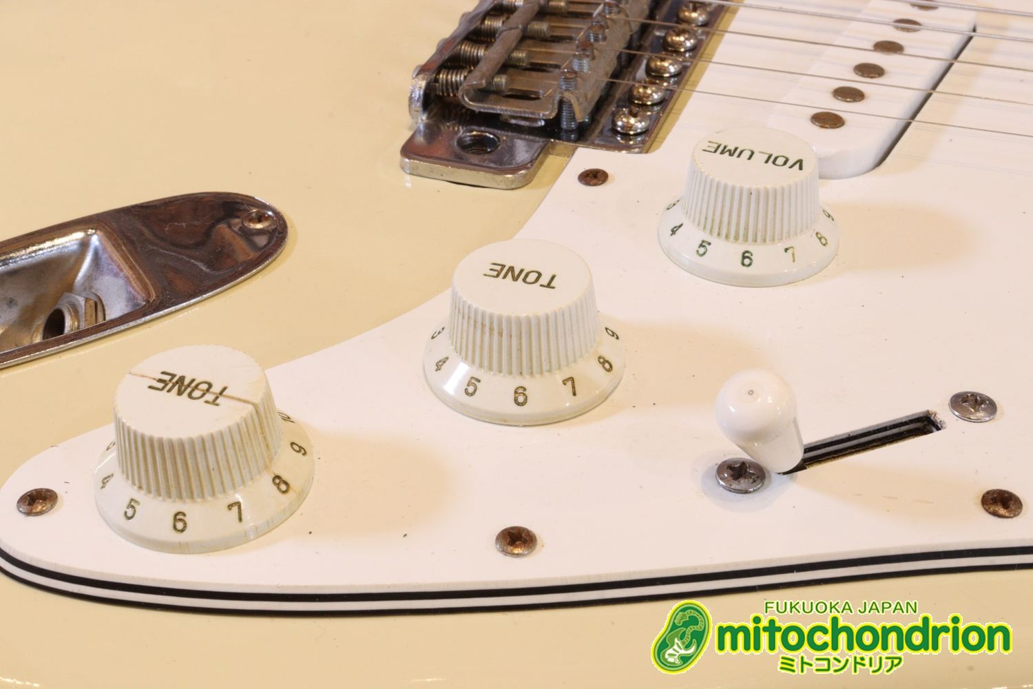 懐かしいギャバンのストラトタイプです！