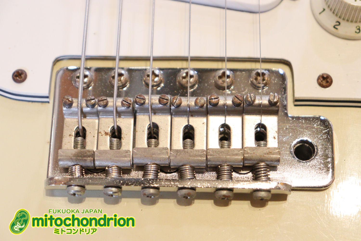 懐かしいギャバンのストラトタイプです！